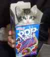 [Pop-Tarts]