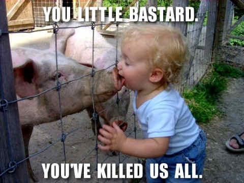 Swine Flu Kiss