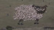 Extreme Sheep LED Art